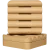 Shower Booster